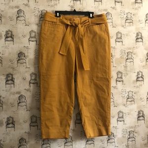 NWT Loft PLUS Straight Leg Tie Waist Pants